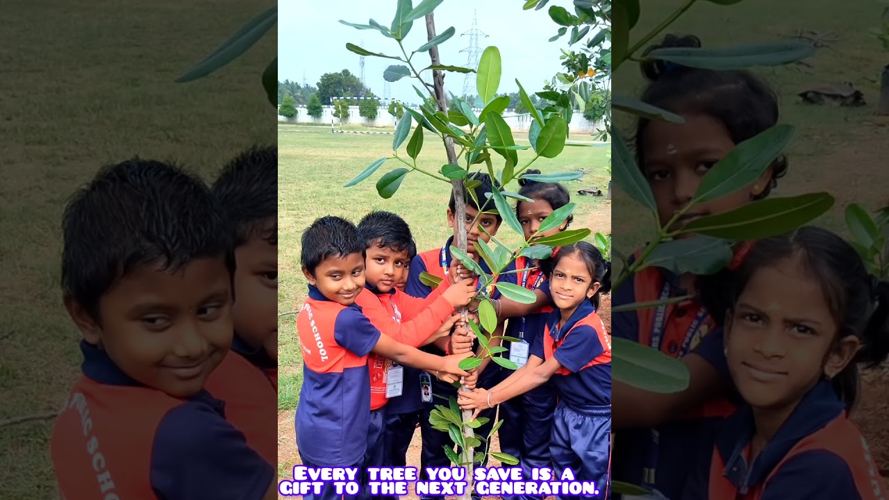 Tree plantation at Thulirs Public School 