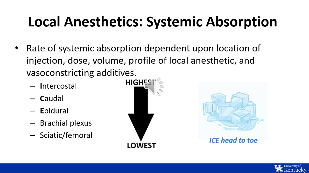 ITE Review | Regional Anesthesia: Physiology and Pharmacology - Dr. Johnson