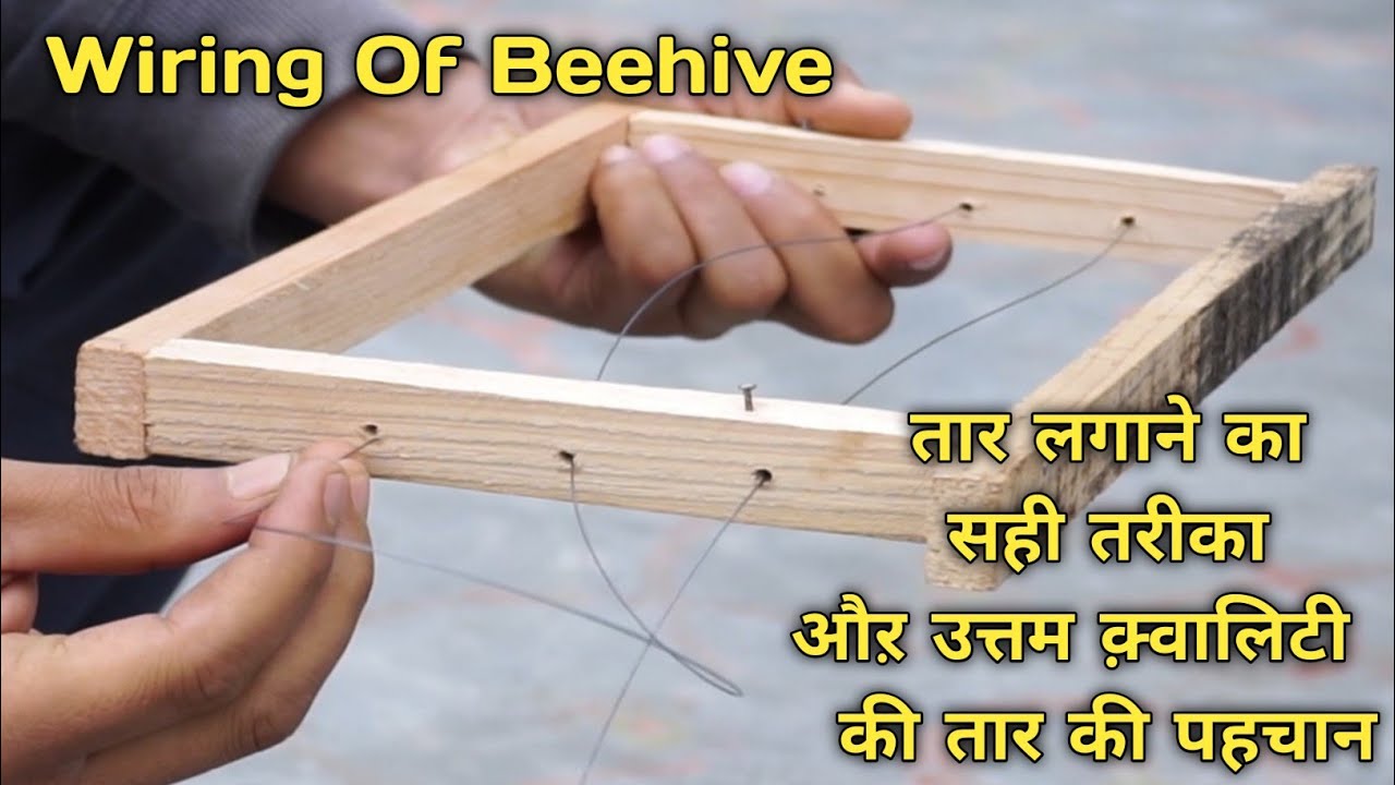Beekeeping- wiring of beehive frame installed in 1 minutes (स्टील की तार लगाओ मधुमक्खी के छतों में)