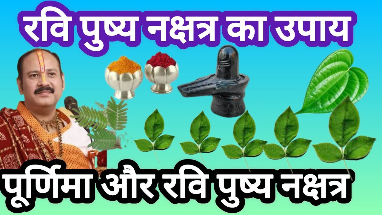 रवि पुष्य नक्षत्र का उपाय 1फरवरी 2026#purnima ke upay#ravi pushya nakshtra#pradeep mishra ji#viral 