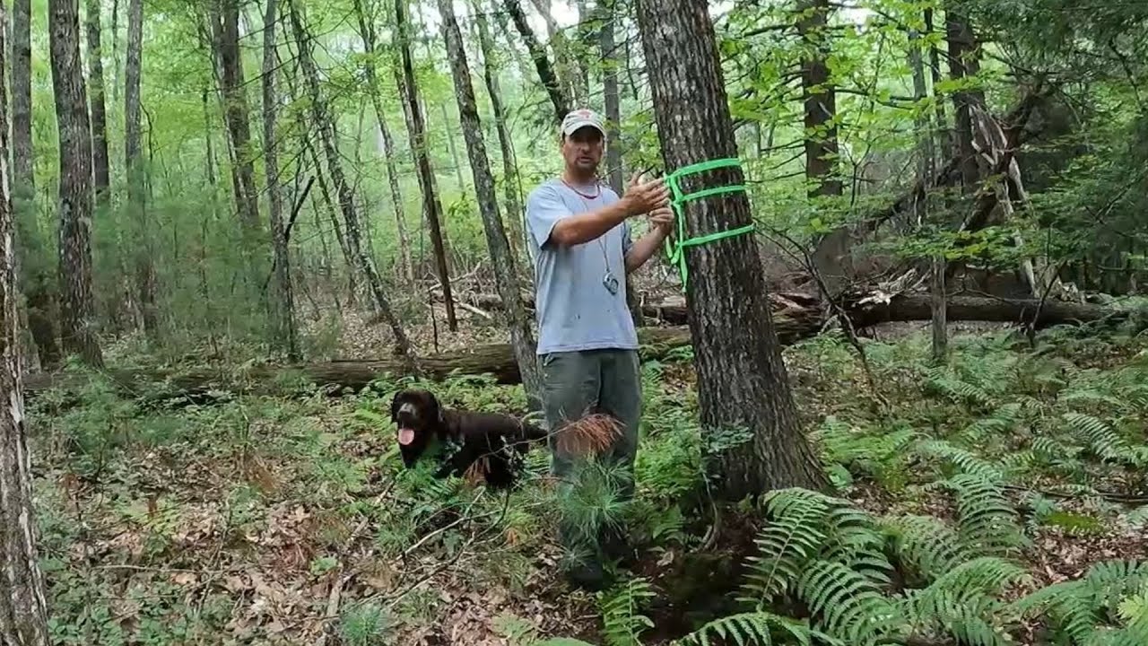 (part 1) Laying out a new maple syrup woods with Leader Evaporator tubing