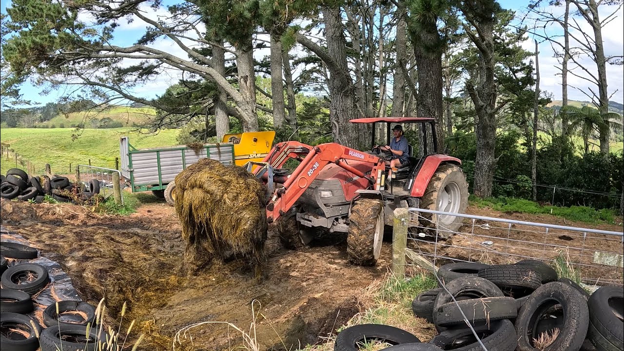 Открываем вторую штабель силоса и опрыскиваем ее для повторного засевания травой.