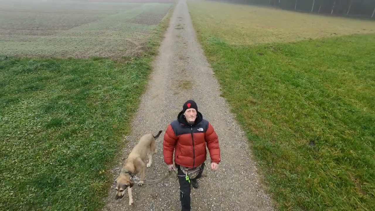 🥰Walk with Dog in the Fog...Filmed by Dji NEO 2🕉