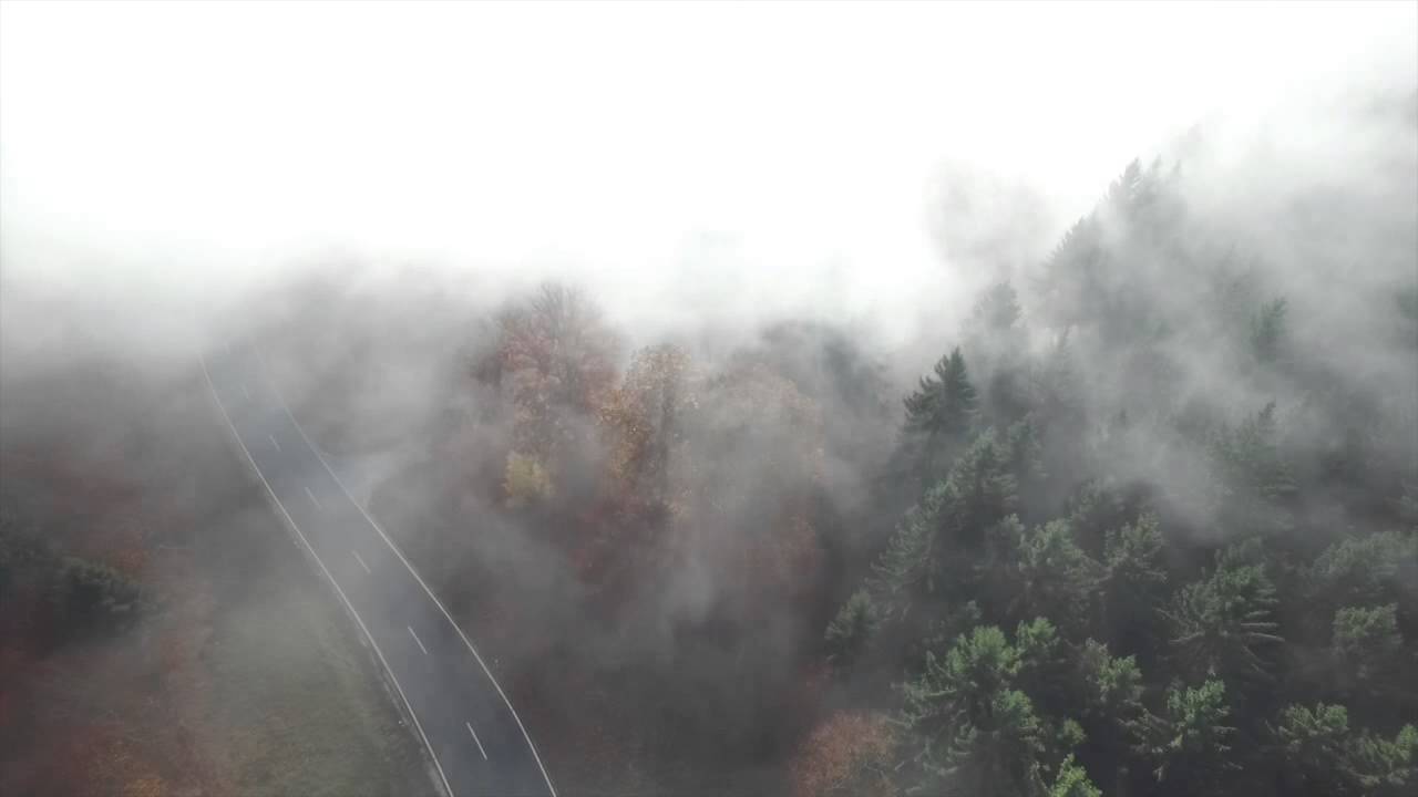 Raising Fog