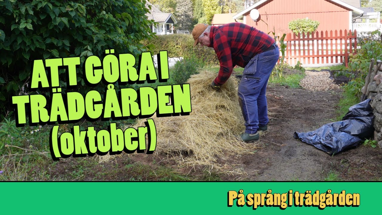Kul att göra i trädgården i oktober