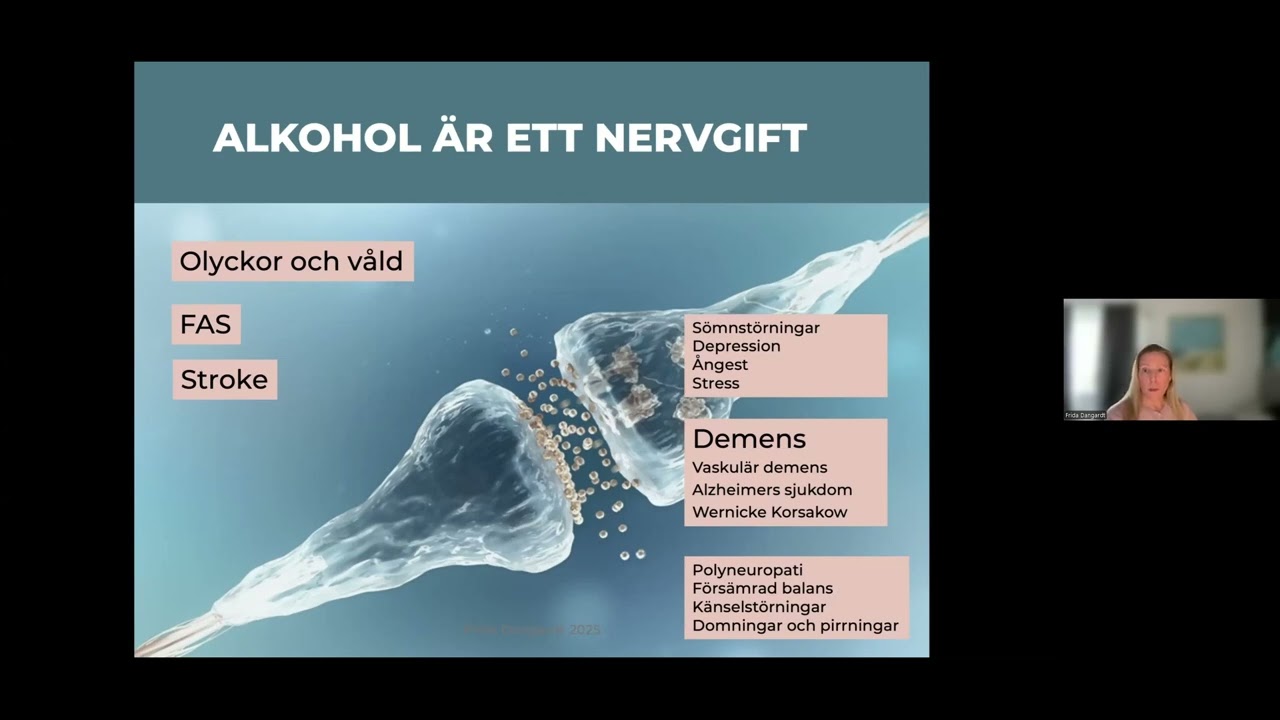Alkoholens påverkan på hjärnan: från ungdom till ålderdom