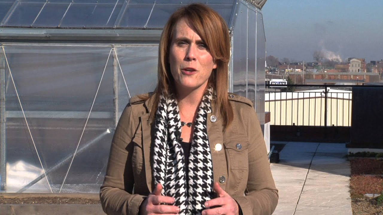 SciTech Now | Episode 203 | Food Roof Farm