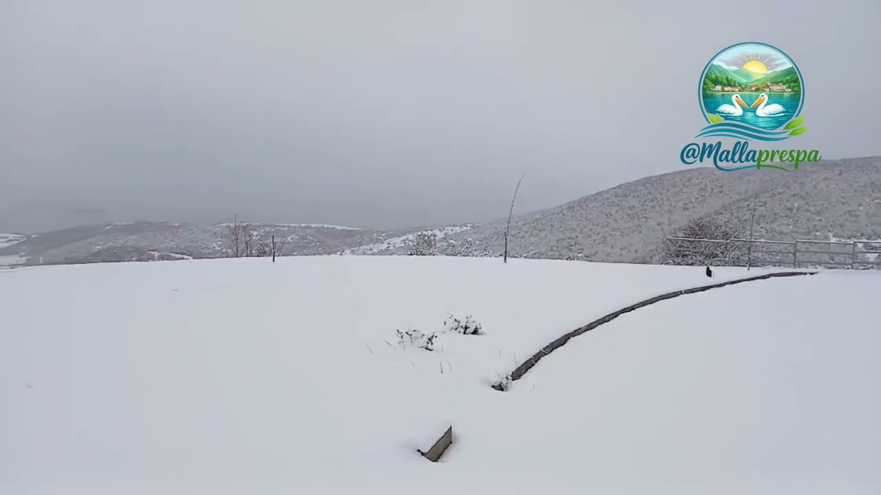 Today’s snowfall over Lake Prespa ❄️📸🩵📍 #snowfall #mallaprespa #prespa #fyp #foryou #travel 