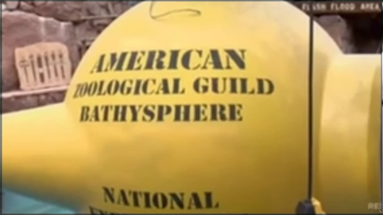 American Restoration S2 E16 Special Delivery
