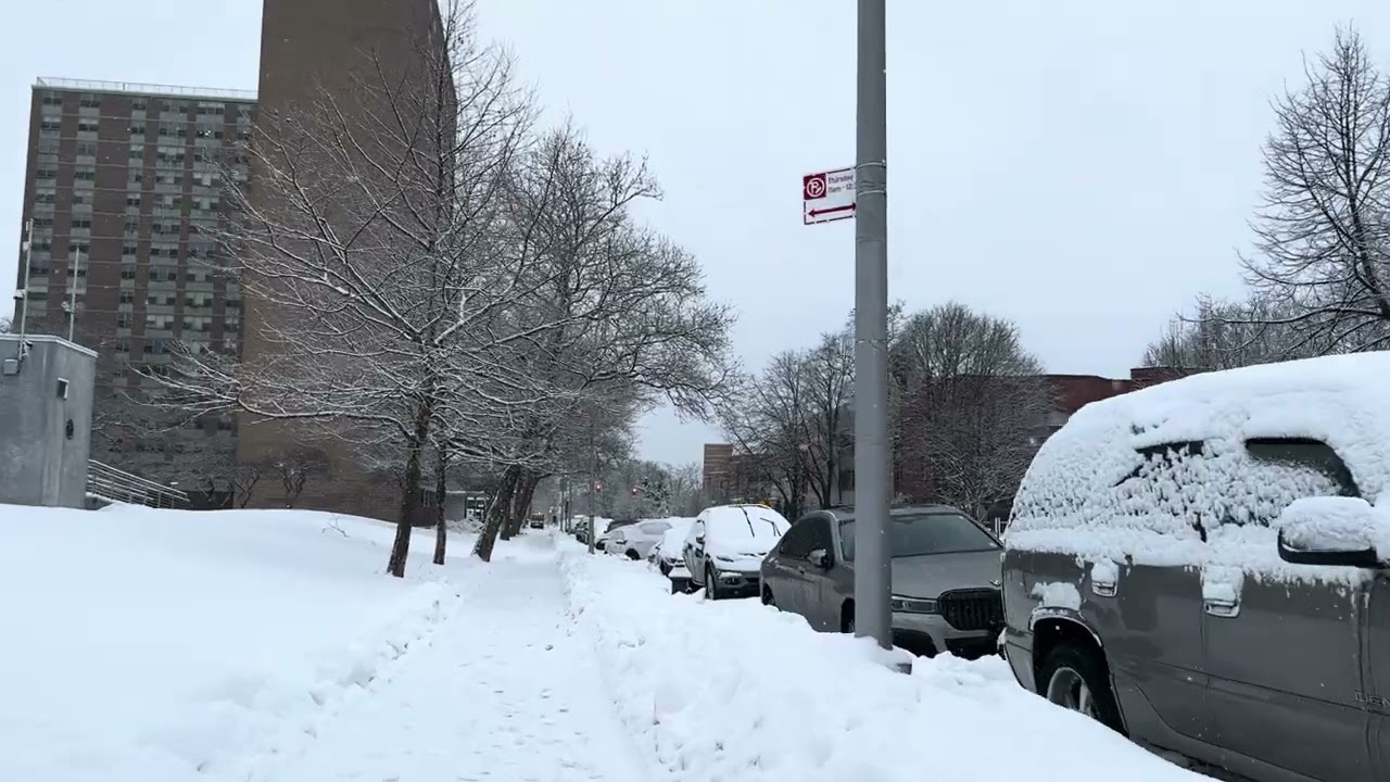 Brooklyn NY