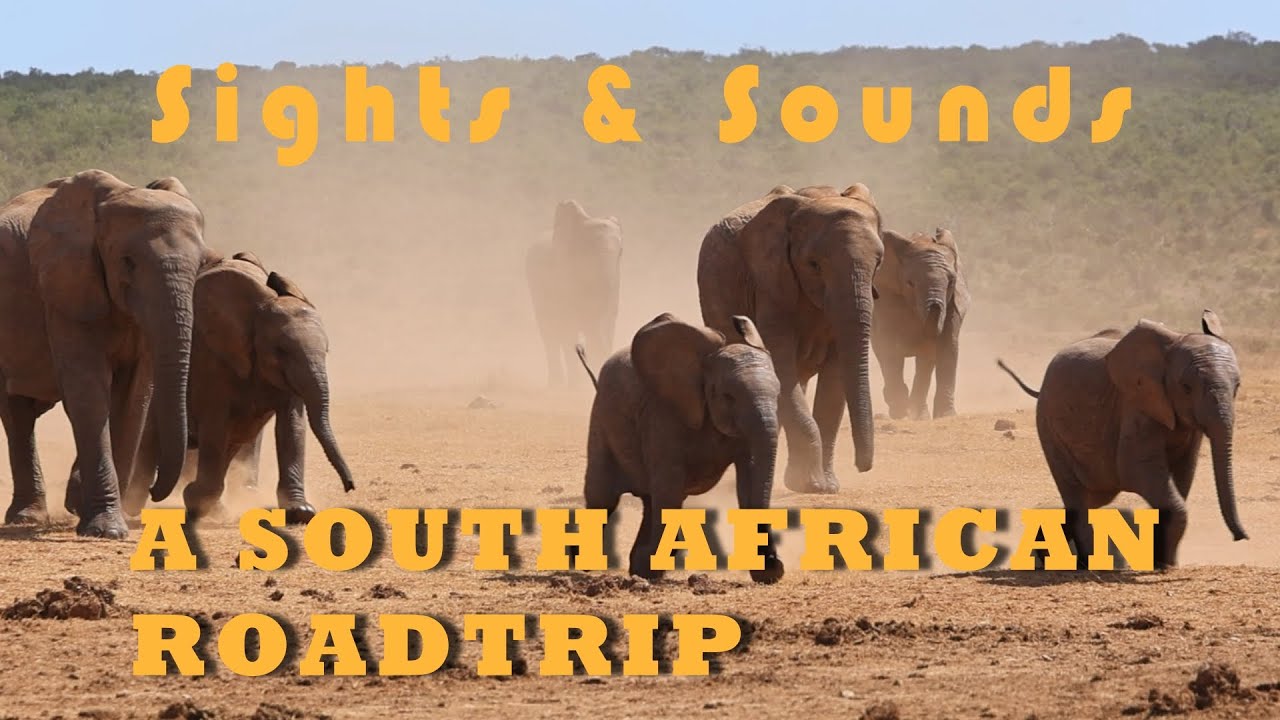 Sights ´n Sounds - Highlights of a South African Roadtrip