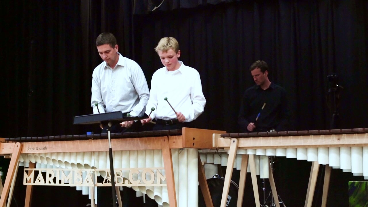 OneRepublic - Counting Stars - Marimba Cover