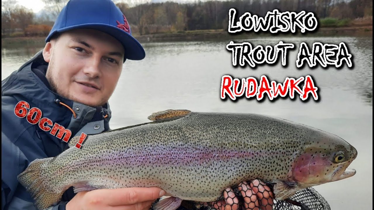 TROUT AREA FISHING ! największy pstrąg  jakiego złowiłem !