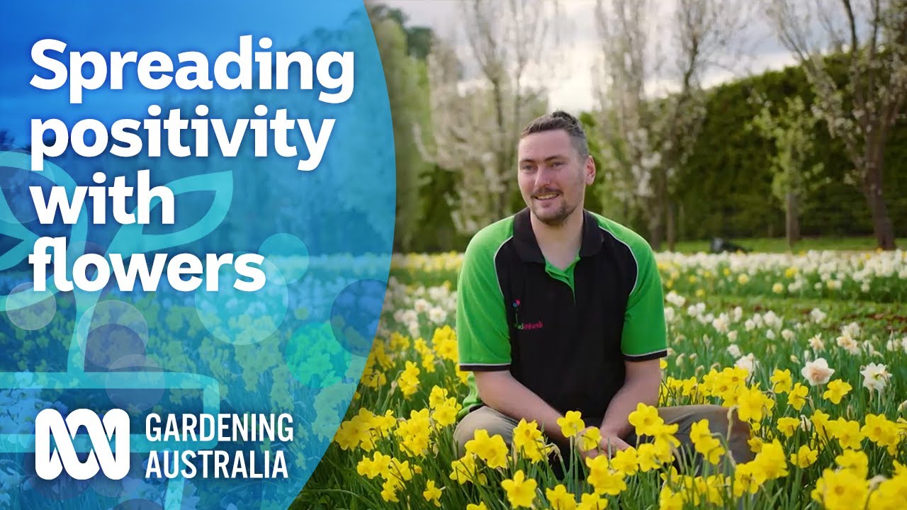 The bulb grower spreading floral positivity during lockdown | My Garden Path | Gardening Australia