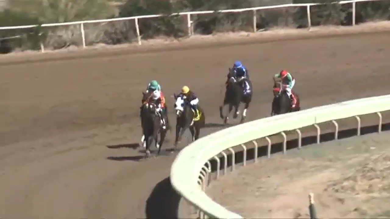 R1 Turf Paradise 03 Mar 2026