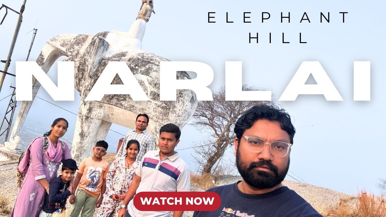 Elephant of Narlai Village of Rajasthan | Divyesh Vlogs