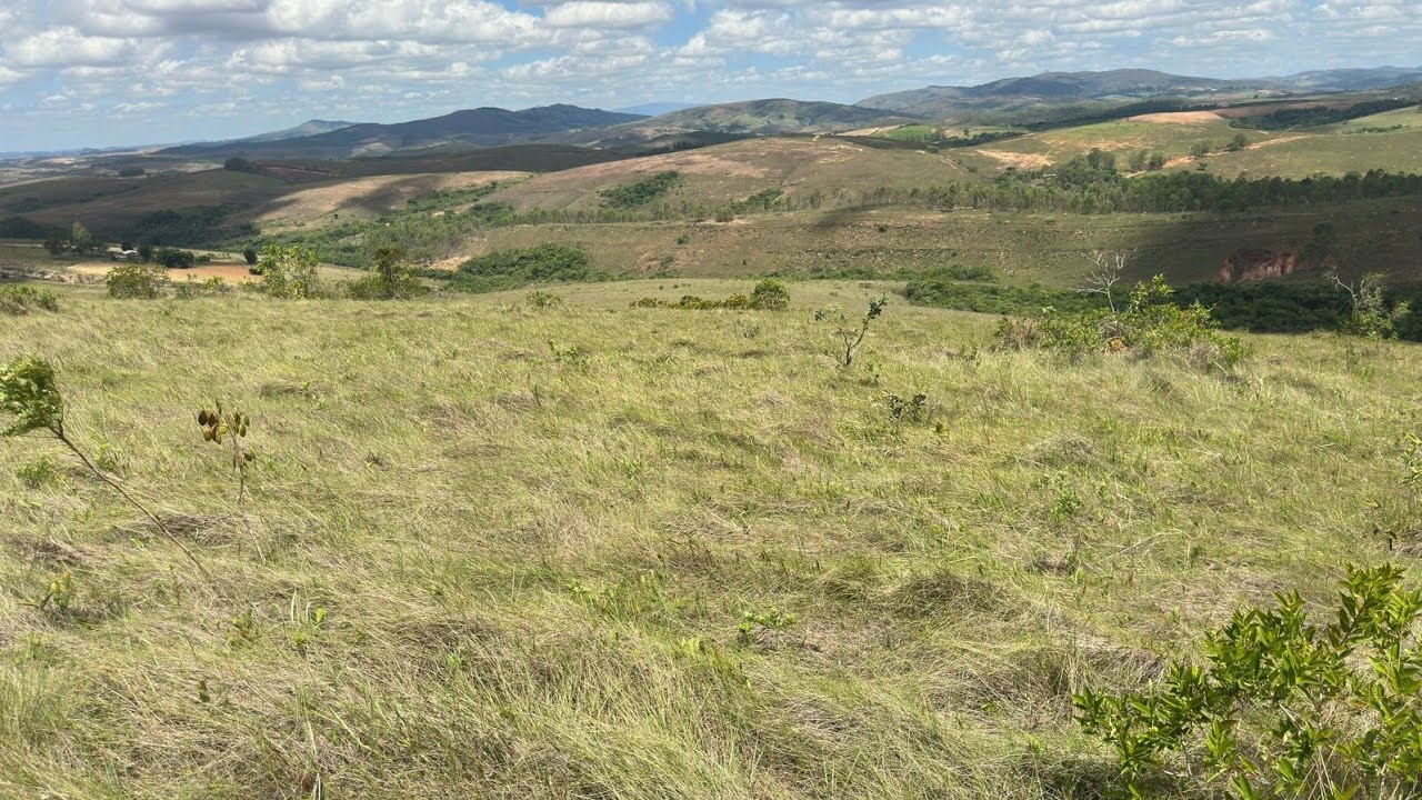 A venda 80 hectares por apenas 800 mil reais Madre de deus Minas Gerais