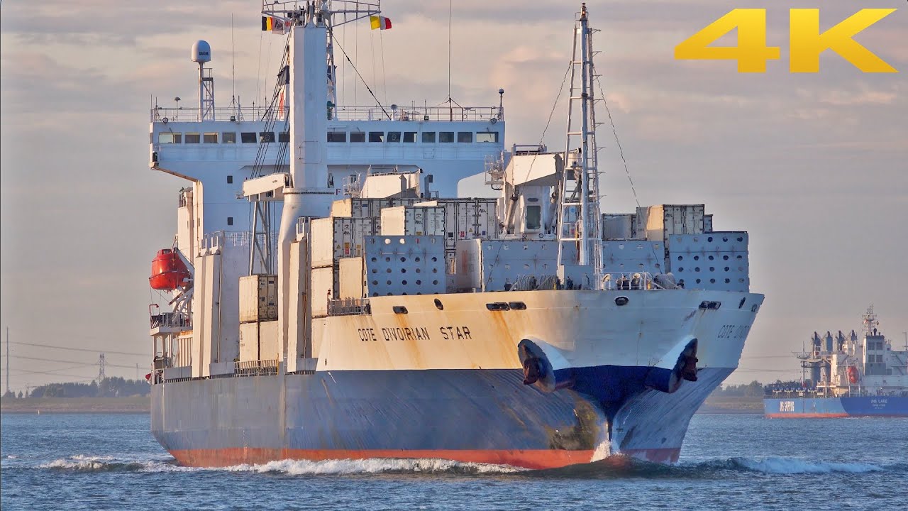 🚢 THE GATE OF PORT IN ANTWERP⚓️: THE WESTERN SCHELDT 4K SHIPSPOTTING 2025