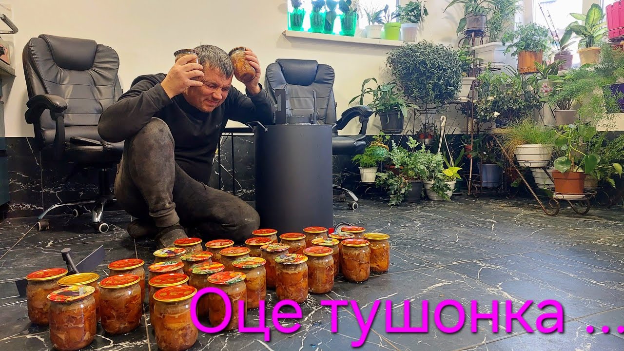 Домашня тушонка, домашні Свині, пшениця,ячмінь,кукуруза,...