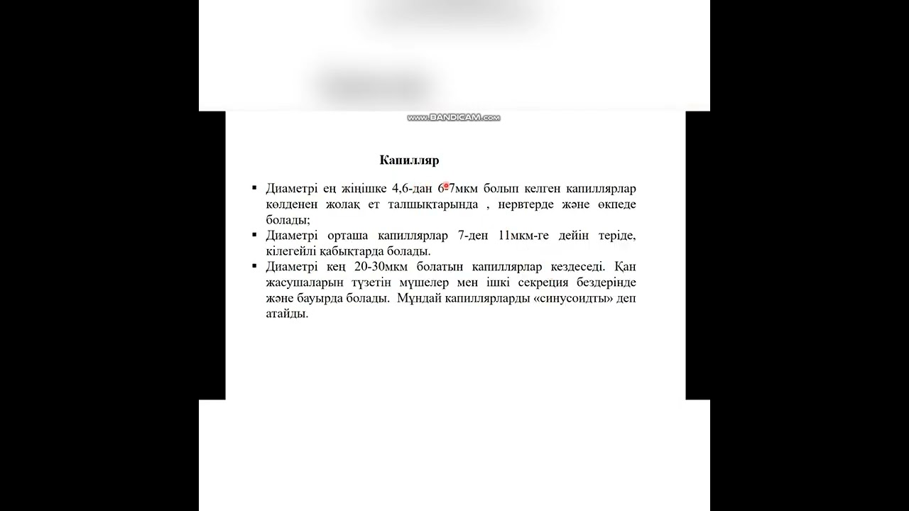 Гистология вена және лимфа ұан тамырлары