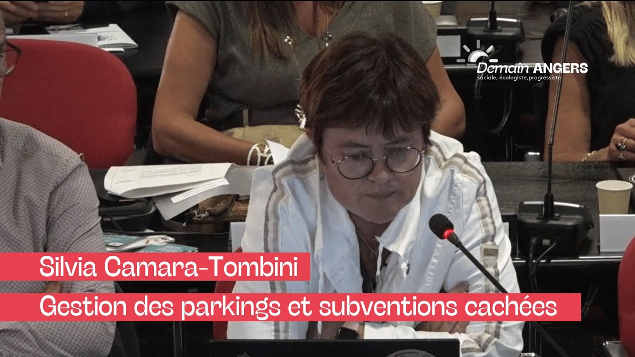Gestion des parkings et subventions cachées