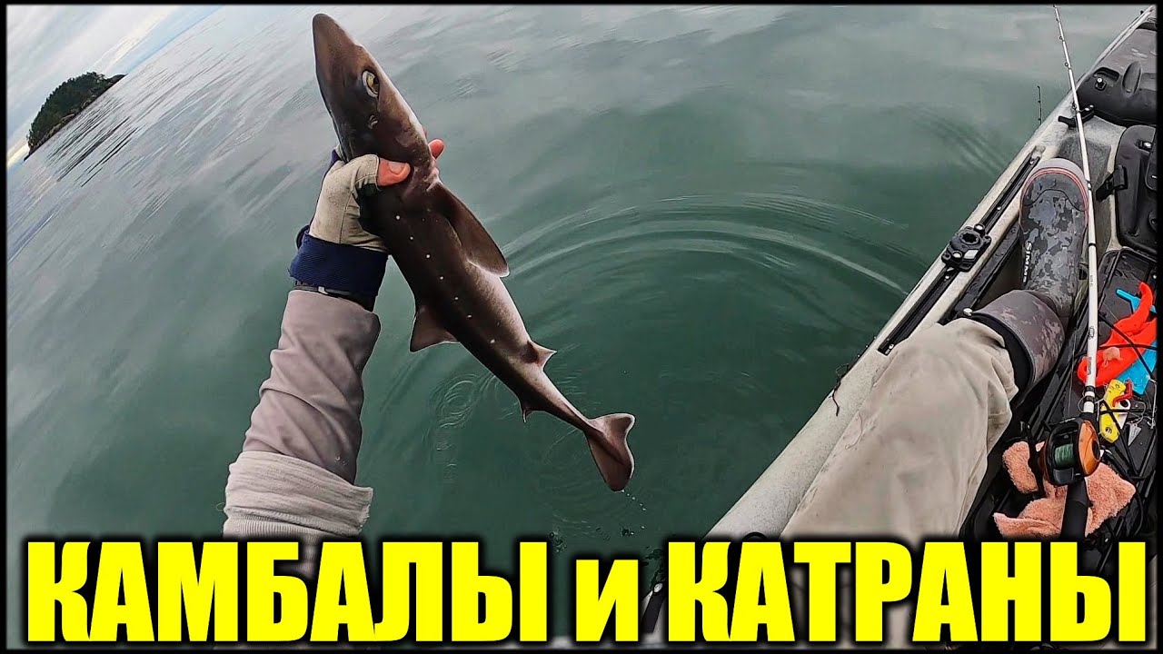 Рыбалка на Каяке Камбалы Катраны и Другие Рыбы 2020 (Рыболовный Каяк)
