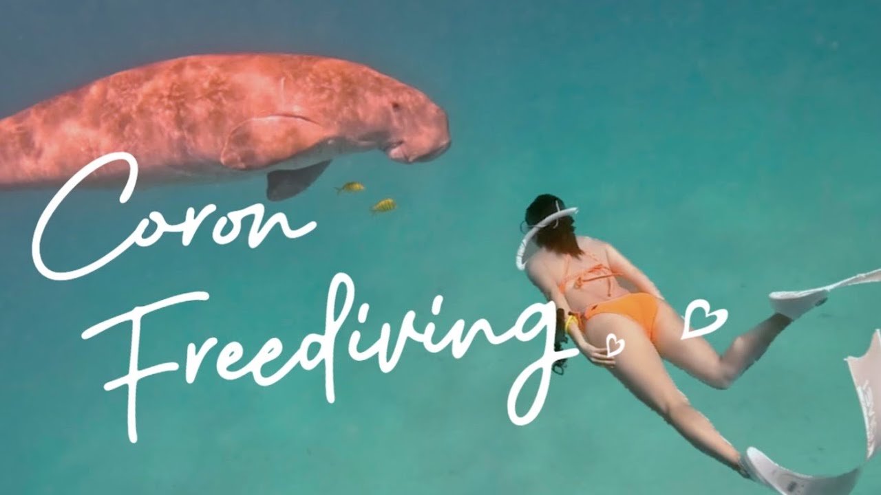 인어전설의 주인공, 듀공을 만나다!!🐬이거 보면 프리다이빙 배우고 싶어질걸요? (ep.3) Freediving with Dugong in Philippines (ENG)