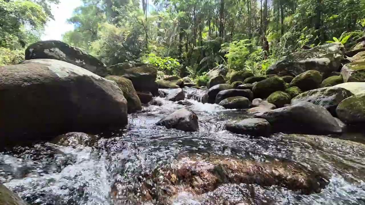 Som de Rio Correndo no Sítio do Vô | Água Natural para Relaxar e Acalmar a Mente | 1 Hora