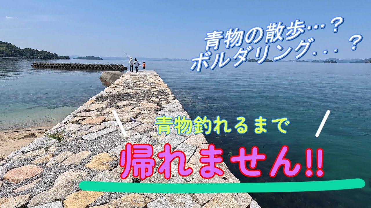 景色の綺麗な周防大島堤防巡りと根性の14時間!!
