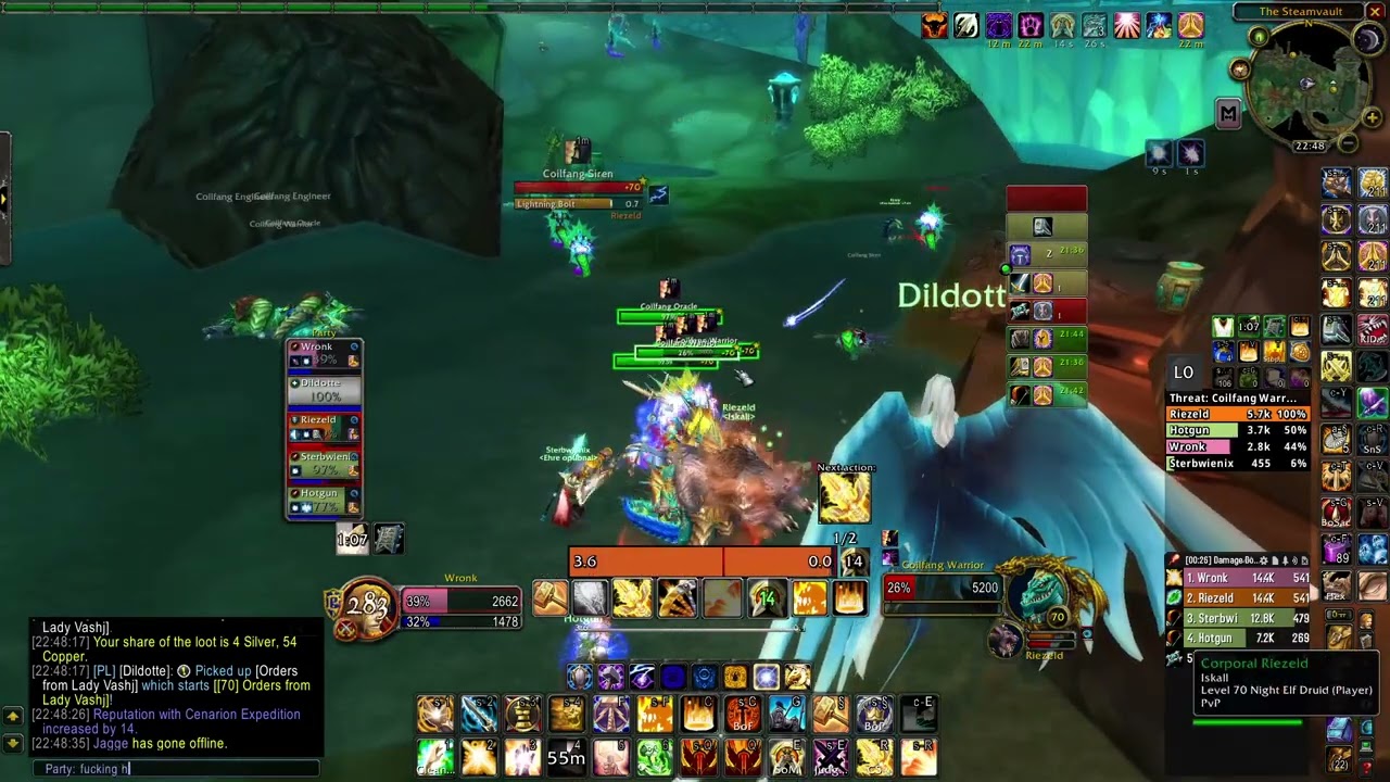 Steamvault normal Retpaladin TBC Ani no voice