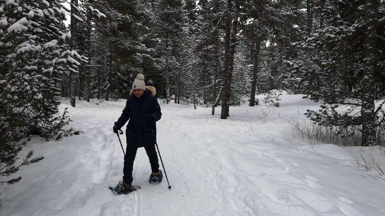 Le petit Canada Bolqu&egrave;re 2019