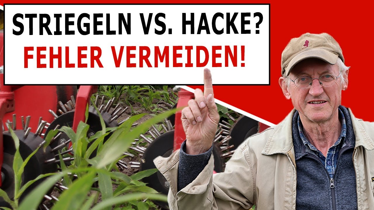 Striegel gegen Unkraut - oder doch lieber Hacke? Meine Tipps!
