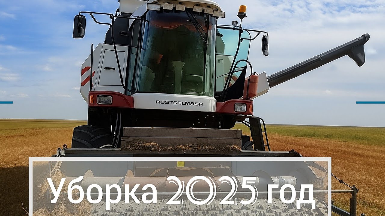 Уборка чечевицы и ячменя на подборе. Жатва 2025 год. #Казахстан #жизньвказахстане