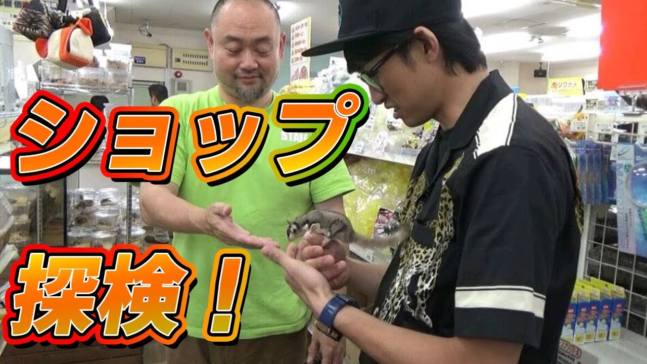 ランバージャックの中を案内してもらったら楽しすぎて住みたくなりました…！