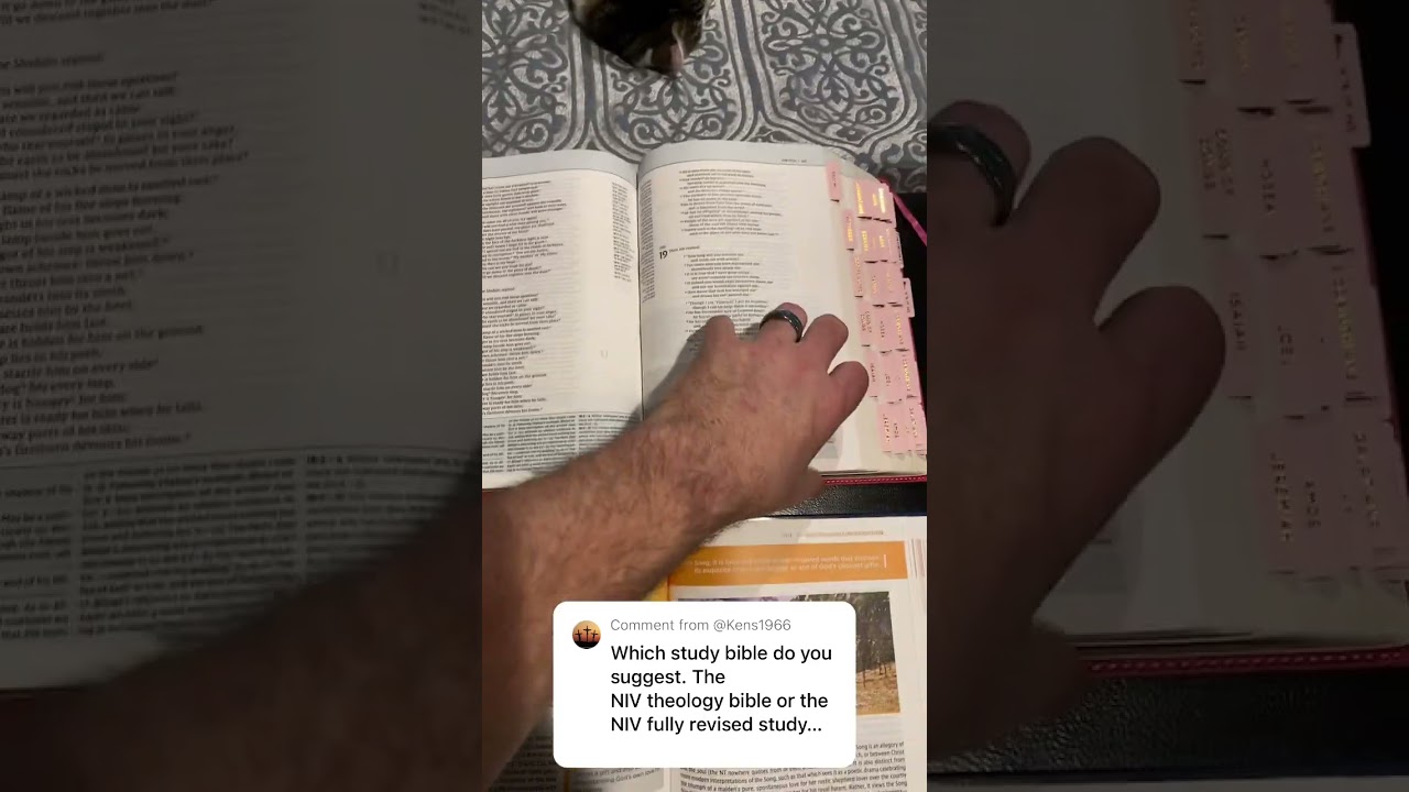 Difference between the Biblical Theology SB and the NIV SB