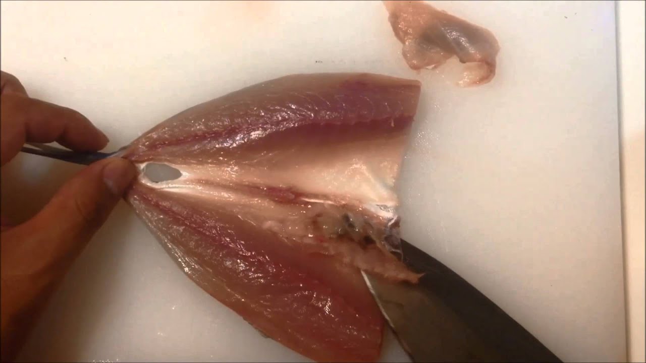 How to clean fish(horse mackerel)STEP1 sushi.Japanese sushi chef of professional