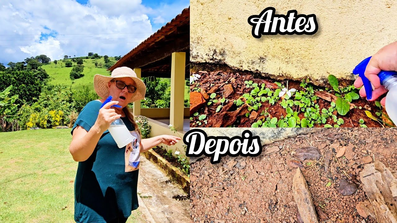 SECA TUDO EM 24 HORAS! O MELHOR MATA MATO CASEIRO QUE EXISTE! ( N&Atilde;O &Eacute; VENENO)