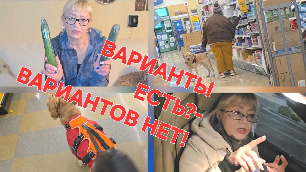 НЕ ПРИЗЕМЛЯЙСЯ-МУЖ ПОЗВОНИЛ//САМА ЕГО СПАИВАЮ//ПОГНАЛИ В МАГАЗИН С СОБАКОЙ СНОВА🥱