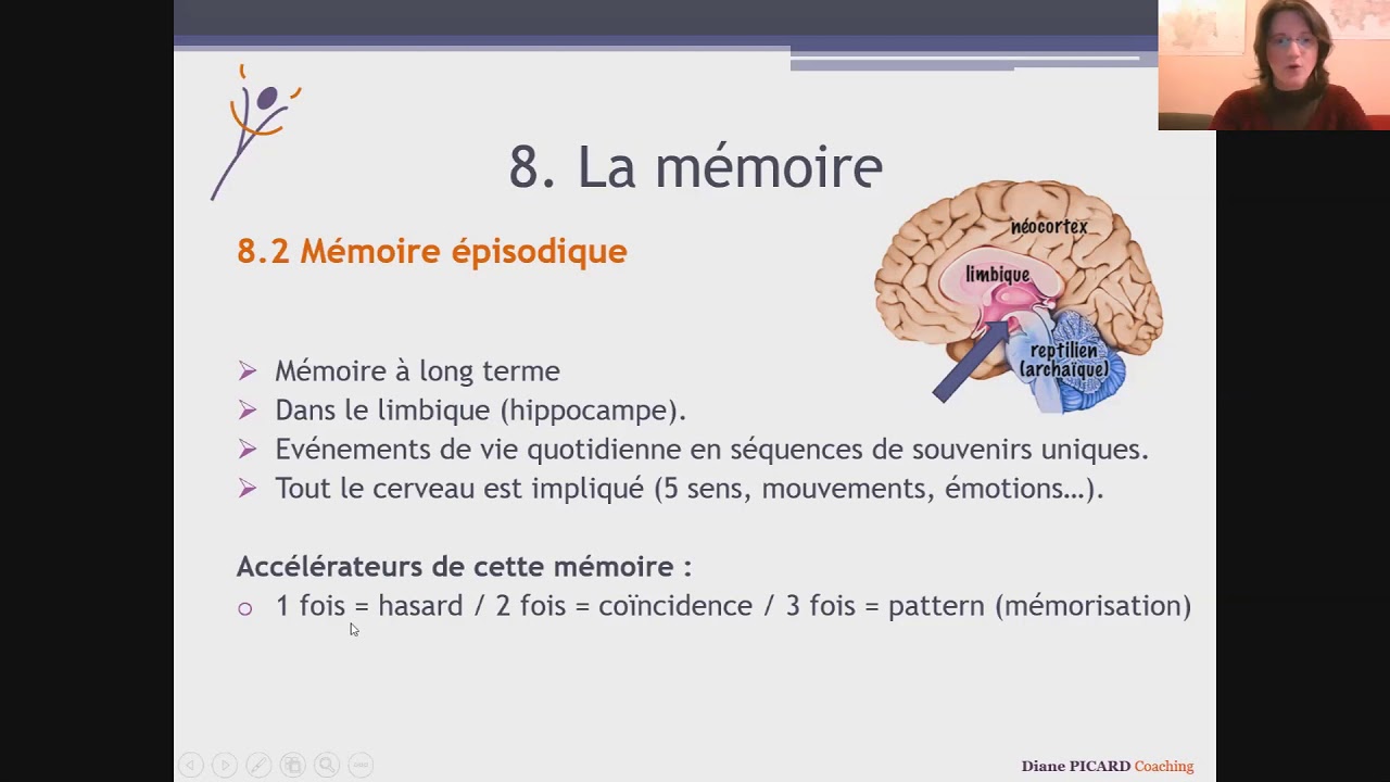 Les potentiels cachés du cerveau - 8 : La mémoire
