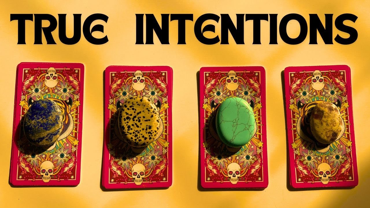 THEIR TRUE INTENTIONS ✨❣️🤍❣️✨ pick a card ✨❣️🤍❣️✨(((TIMELESS TAROT)))
