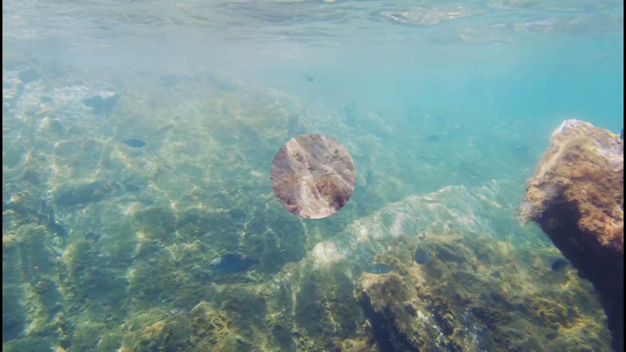 Playa del lastre, portman