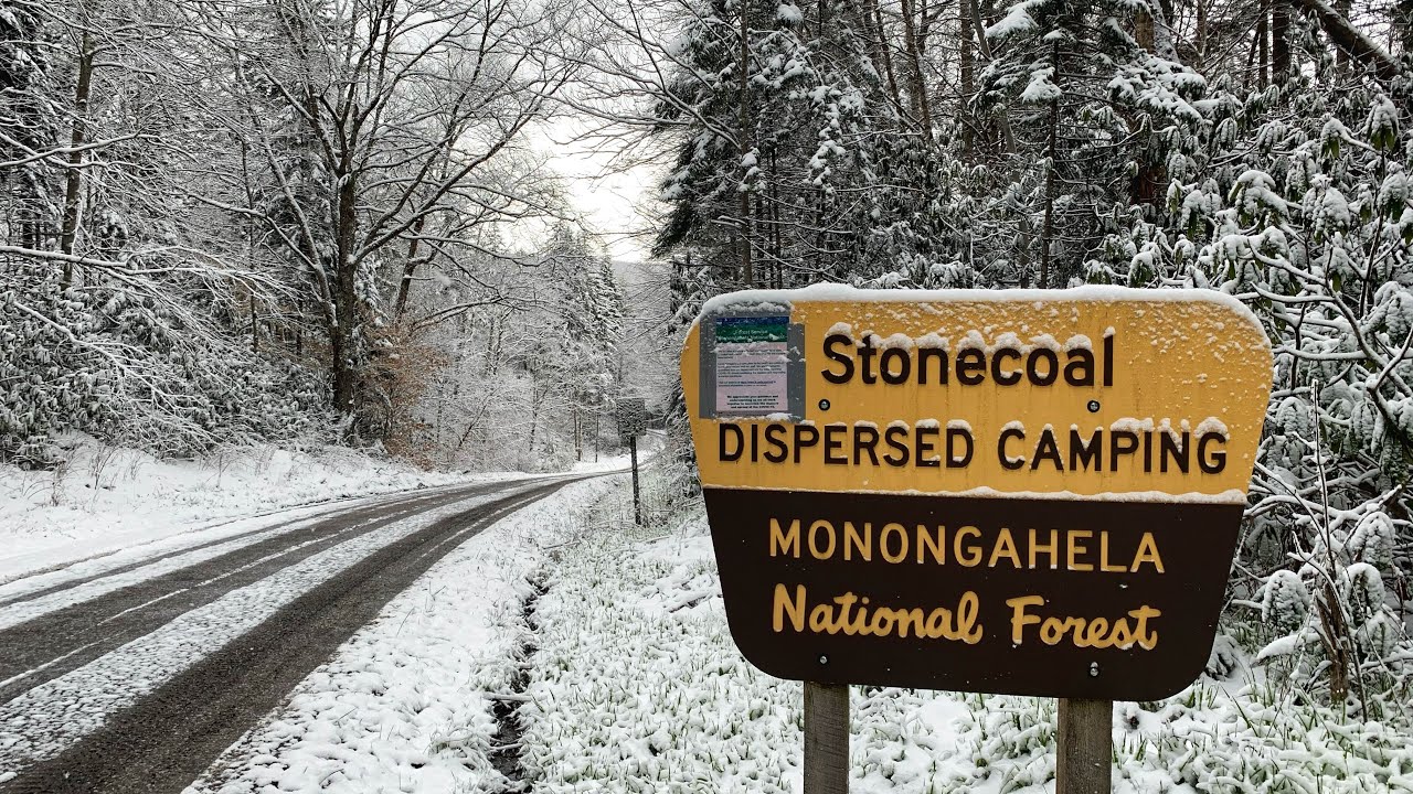 Free Camping at Stonecoal Dispersed Camping Area, Monongahela NF, WV