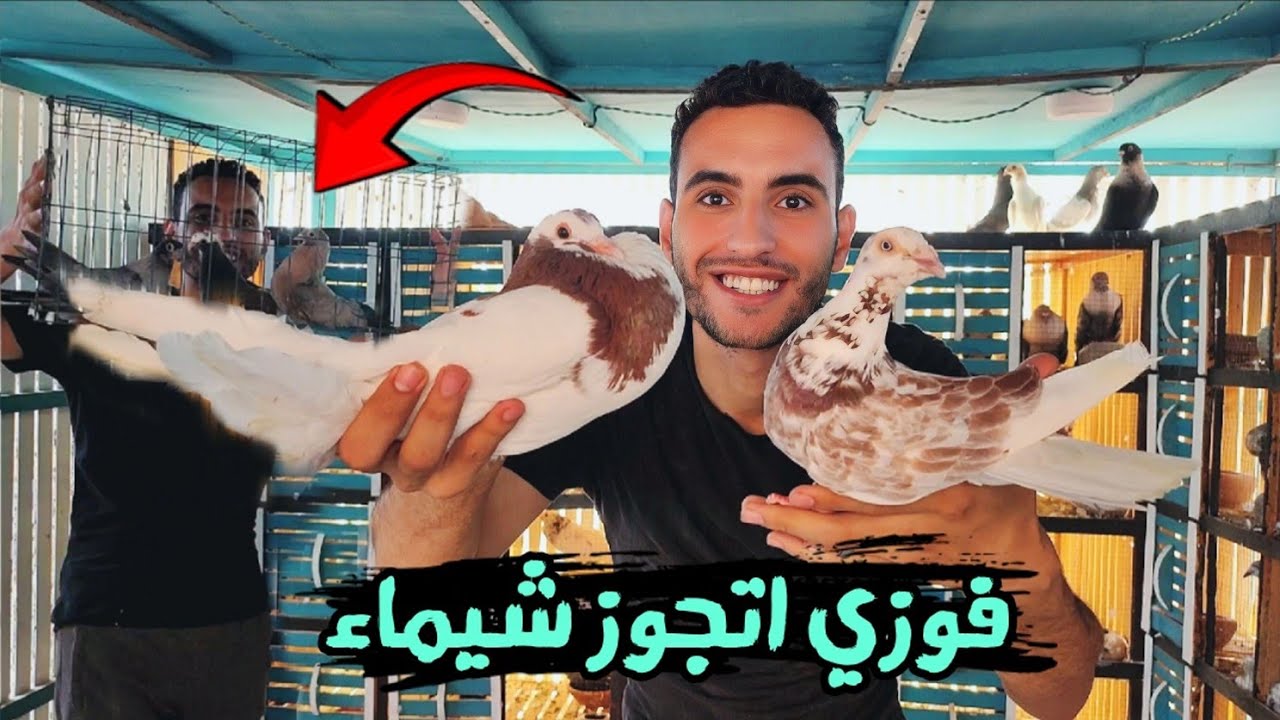 نقلت وقطفت الزغاليل 🤩وجوزت فوزي ل شيماء (وصدمه حصلت في الزاجل 😱)