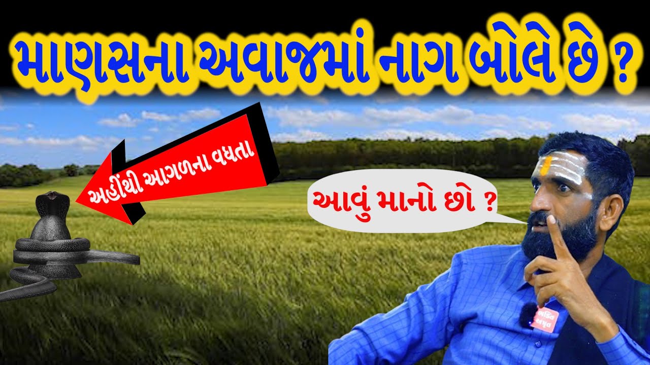 માણસના અવાજમાં નાગ બોલે છે ? | સુરાપુરાધામ ભોળાદ 🚩| surapura dada bholad | Danbha bapu  #bhaktiamrut