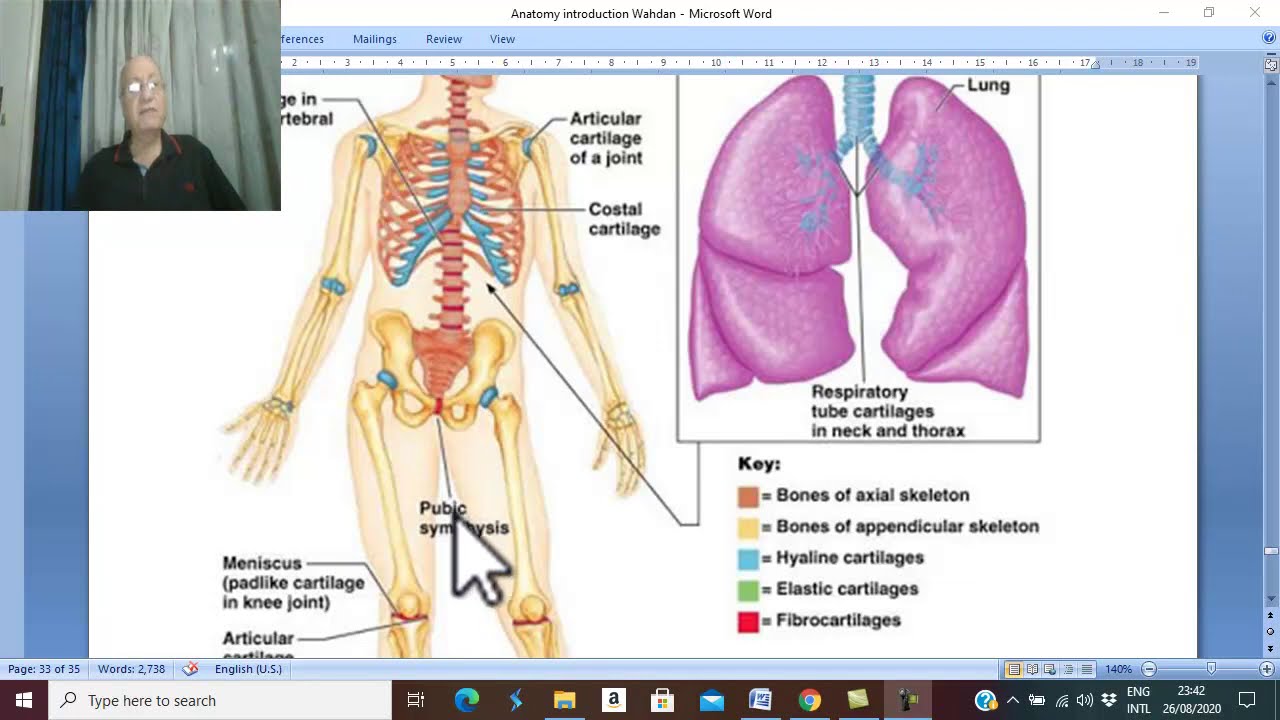 Introduction to anatomy in Arabic 8 (Cartilage ) , by Dr. Wahdan .
