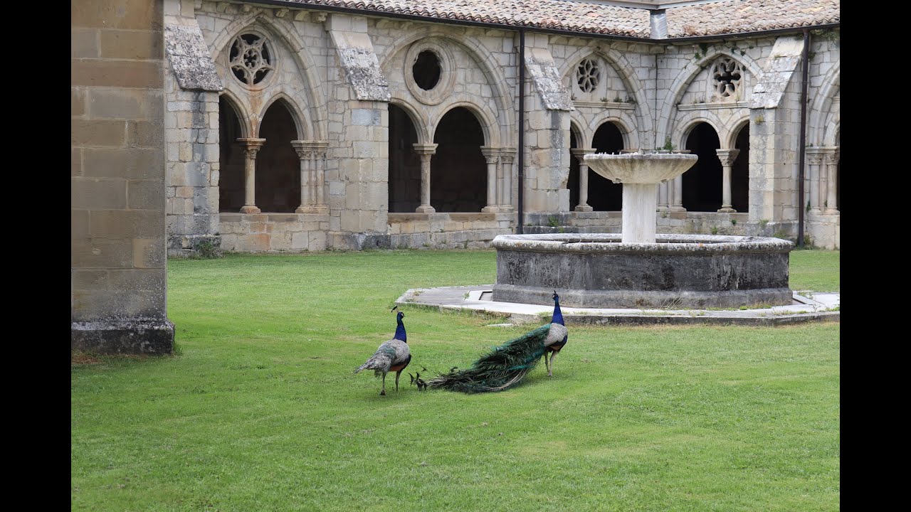 MONASTERIO de IRANZU, Navarra.