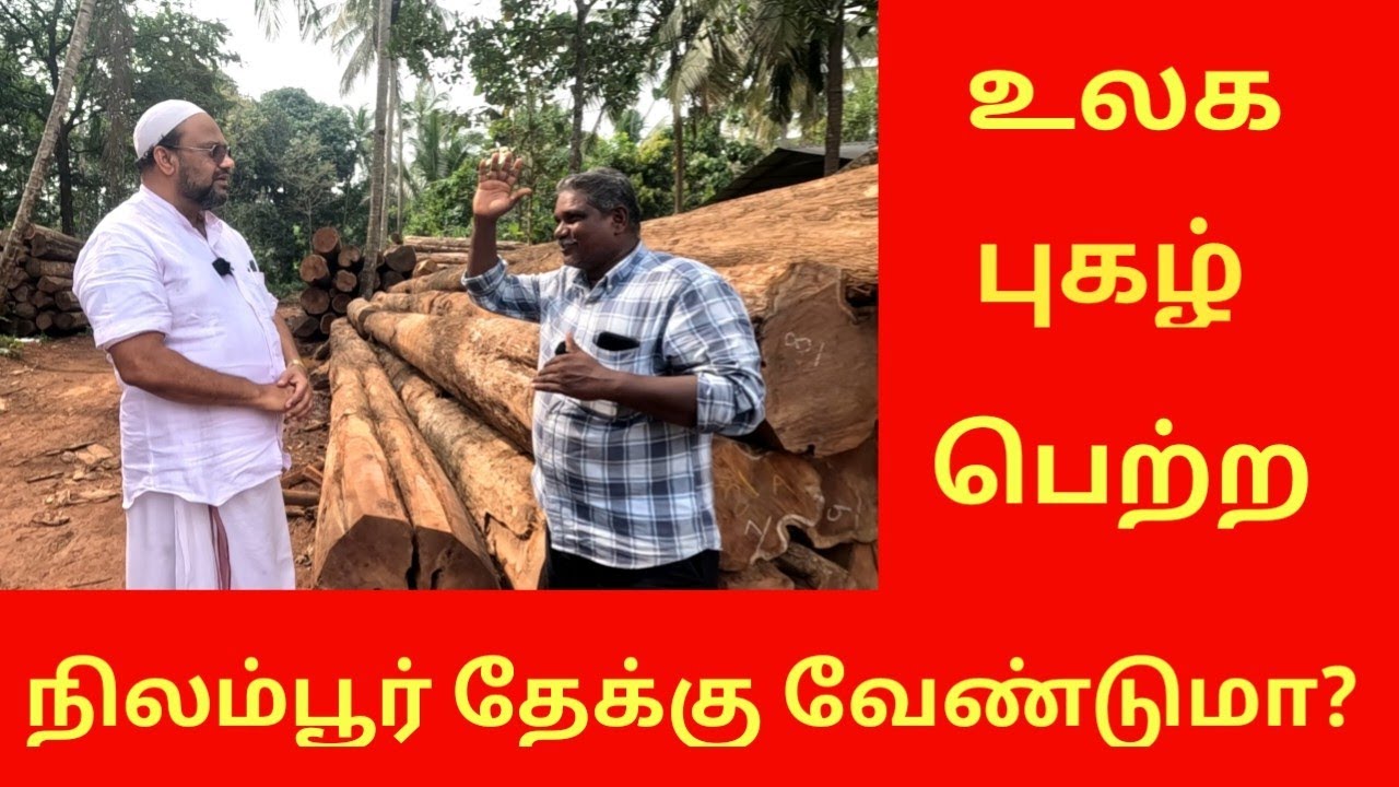உலகப் புகழ்பெற்ற நிலம்பூர் தேக்கு வாங்க வேண்டுமா? world famous teek wood