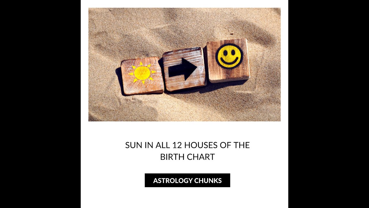 Sun in all 12 houses of the birth chart #astrologyblogger #astrologyfacts #astrologyposts #astrology