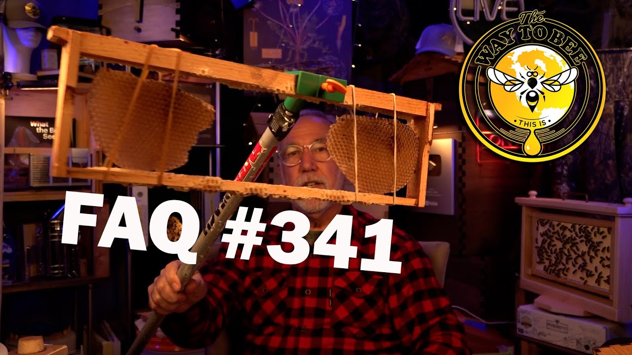 Backyard Beekeeping Q&A 341 The Way To Bee Secure For Heavy Weather.