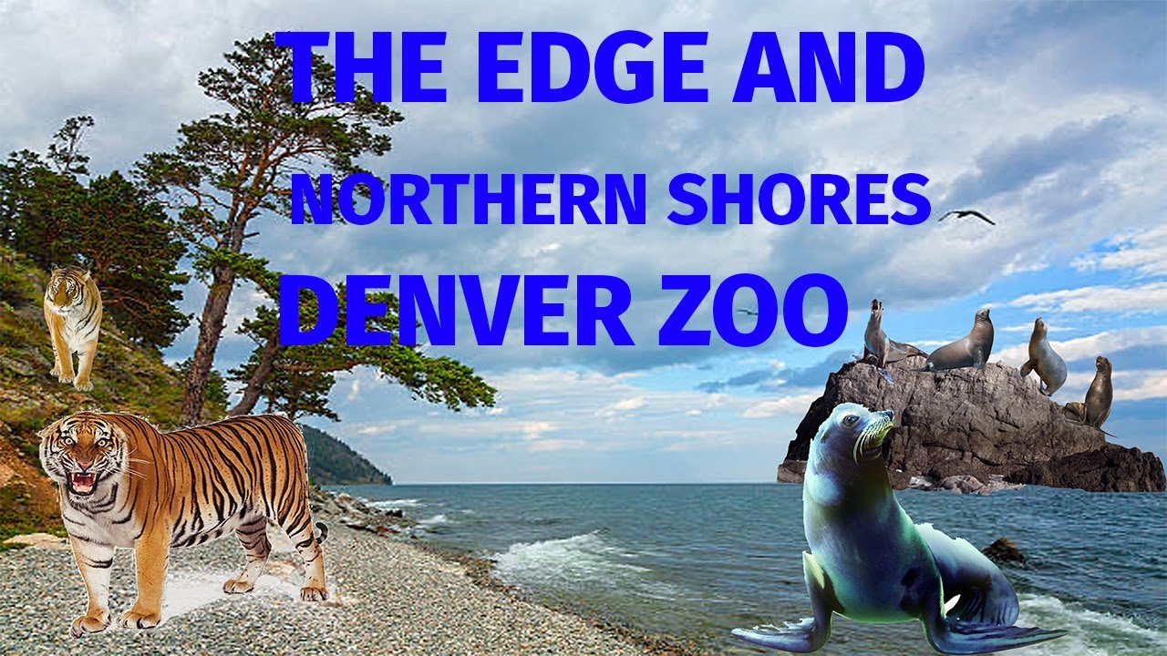 Uncaged Zoo Tours: The Edge and Northern Shores at The Denver Zoo #uncagedzootours